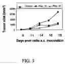 Fig. 04 - Peptide useful in immunomodulation