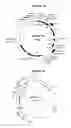Fig. 04 - Nucleic acids and proteins from groups A & B