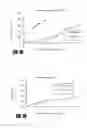 Fig. 09 - Method for preparing citrinin-free Monascus biomass and use of citrinin-free Monascus biomass