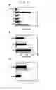 Fig. 06 - Recombinant BCG vaccine