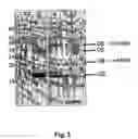 Fig. 04 - Hiv-peptide-carrier-conjugates