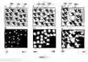 Fig. 02 - RESORBABLE STRUCTURE FOR TREATING AND HEALING OF TISSUE DEFECTS