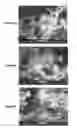 Fig. 04 - RESORBABLE STRUCTURE FOR TREATING AND HEALING OF TISSUE DEFECTS