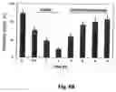 Fig. 11 - Methods and compositions involving aldose reductase