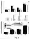 Fig. 19 - Methods and compositions involving aldose reductase
