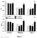 Fig. 20 - Methods and compositions involving aldose reductase