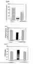 Fig. 04 - Extract of having neuroprotective effect and antioxidant activity