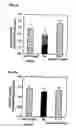 Fig. 05 - Extract of having neuroprotective effect and antioxidant activity
