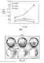 Fig. 02 - Compositions and methods for prostate and kidney health and disorders, an herbal preparation