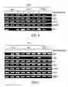 Fig. 06 - Compositions and methods for prostate and kidney health and disorders, an herbal preparation