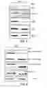 Fig. 07 - Compositions and methods for prostate and kidney health and disorders, an herbal preparation