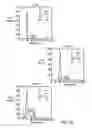 Fig. 13 - Compositions and methods for prostate and kidney health and disorders, an herbal preparation