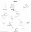Fig. 02 - Method for reduction of acrylamide in cocoa products, cocoa products having reduced levels of acrylamide, and article of commerce