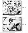 Fig. 02 - Granular sucralose