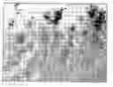 Fig. 01 - Cleaning sheet with improved three-dimensional cleaning surface