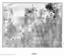 Fig. 04 - Cleaning sheet with improved three-dimensional cleaning surface