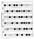 Fig. 05 - Color identification system
