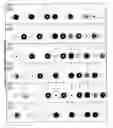 Fig. 06 - Color identification system