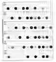 Fig. 10 - Color identification system
