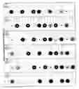 Fig. 12 - Color identification system