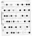 Fig. 13 - Color identification system