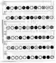 Fig. 14 - Color identification system