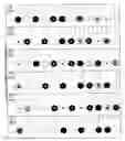 Fig. 16 - Color identification system