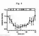 Fig. 05 - Cell observation device and cell observation method