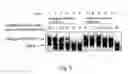 Fig. 04 - Cleavable assigned molecules and screening method using the same
