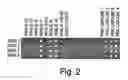 Fig. 03 - Use of nucleic acid mimics for internal reference and calibration in a flow cell microarray binding assay
