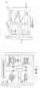 Fig. 02 - Microfluidic systems and methods for using microfluidic devices