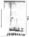 Fig. 06 - One component and two component DNA Pol III replicases and uses thereof