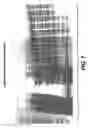 Fig. 07 - One component and two component DNA Pol III replicases and uses thereof