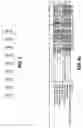 Fig. 08 - One component and two component DNA Pol III replicases and uses thereof