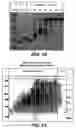 Fig. 28 - One component and two component DNA Pol III replicases and uses thereof
