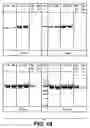 Fig. 30 - One component and two component DNA Pol III replicases and uses thereof