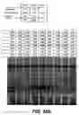 Fig. 42 - One component and two component DNA Pol III replicases and uses thereof