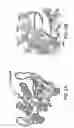Fig. 07 - Ligand/binding partner bio-labeling systems