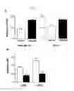 Fig. 10 - Beta-parvin expression for use in diagnostic methods for assessment of breast cancer