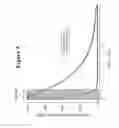 Fig. 06 - Labeled nucleotide phosphate (NP) probes