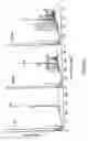 Fig. 04 - Method for sorting antifungal molecules acting on the glucanosyltransferase activity