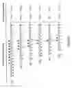 Fig. 05 - Method for sorting antifungal molecules acting on the glucanosyltransferase activity