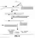 Fig. 06 - Nucleozymes and methods of use