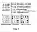 Fig. 09 - Methods for analysis of a nucleic acid sample