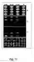 Fig. 11 - Methods for analysis of a nucleic acid sample