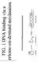 Fig. 02 - Methods of using dyes in association with nucleic acid staining or detection and associated technology