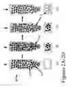 Fig. 05 - Device including a proteinaceous factor, a recombinant proteinaceous factor, and a nucleotide sequence encoding the proteinaceous factor