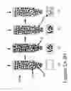 Fig. 05 - Device including a proteinaceous factor, a recombinant proteinaceous factor, and a nucleotide sequence encoding the proteinaceous factor