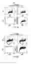 Fig. 33 - Device for aggregating, imaging and analyzing thrombi and a method of use