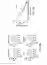 Fig. 40 - Device for aggregating, imaging and analyzing thrombi and a method of use
